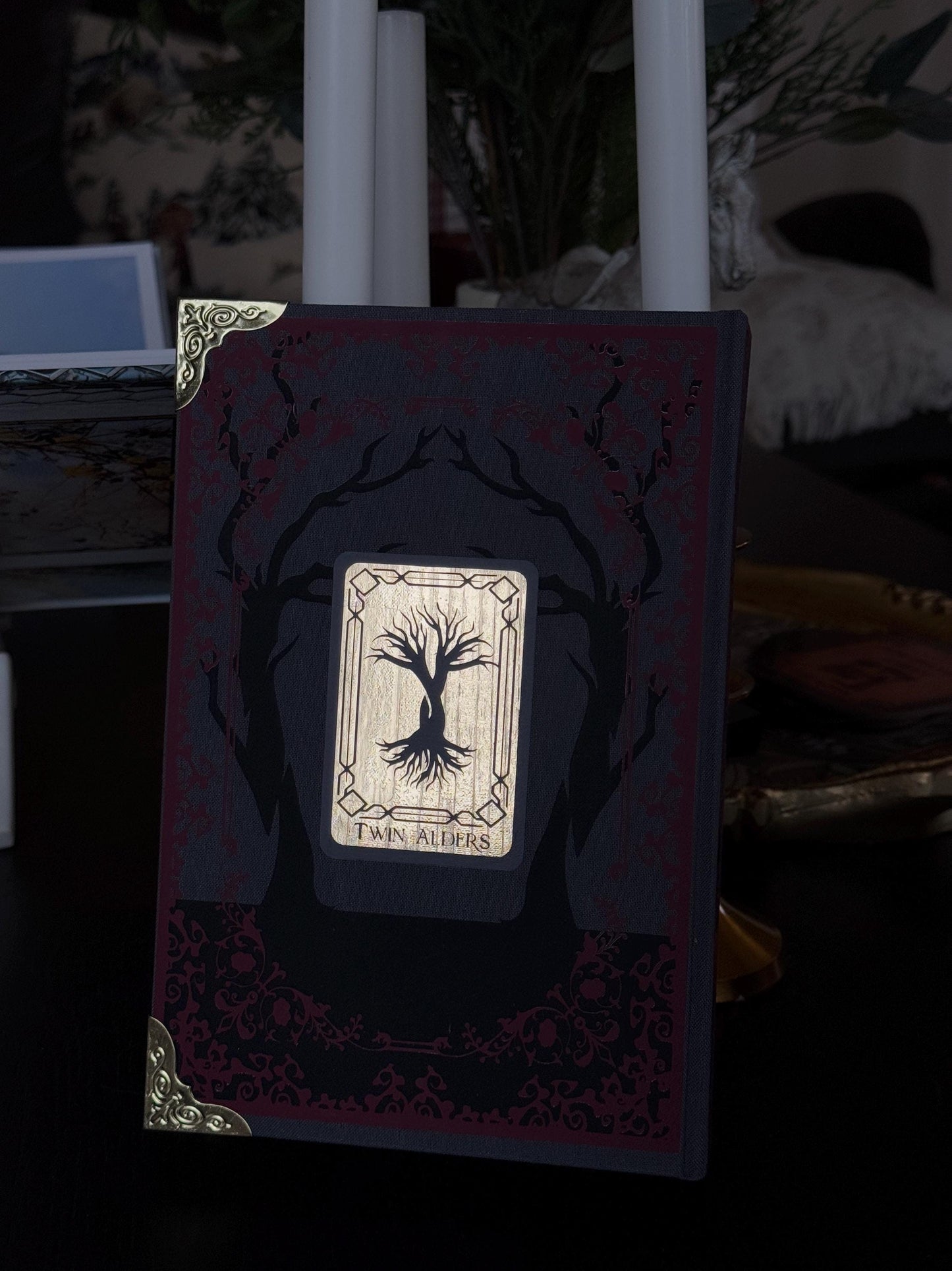 The Shepherd King Duology | One Dark Window & Two Twisted Crowns | Special Rebound Editions