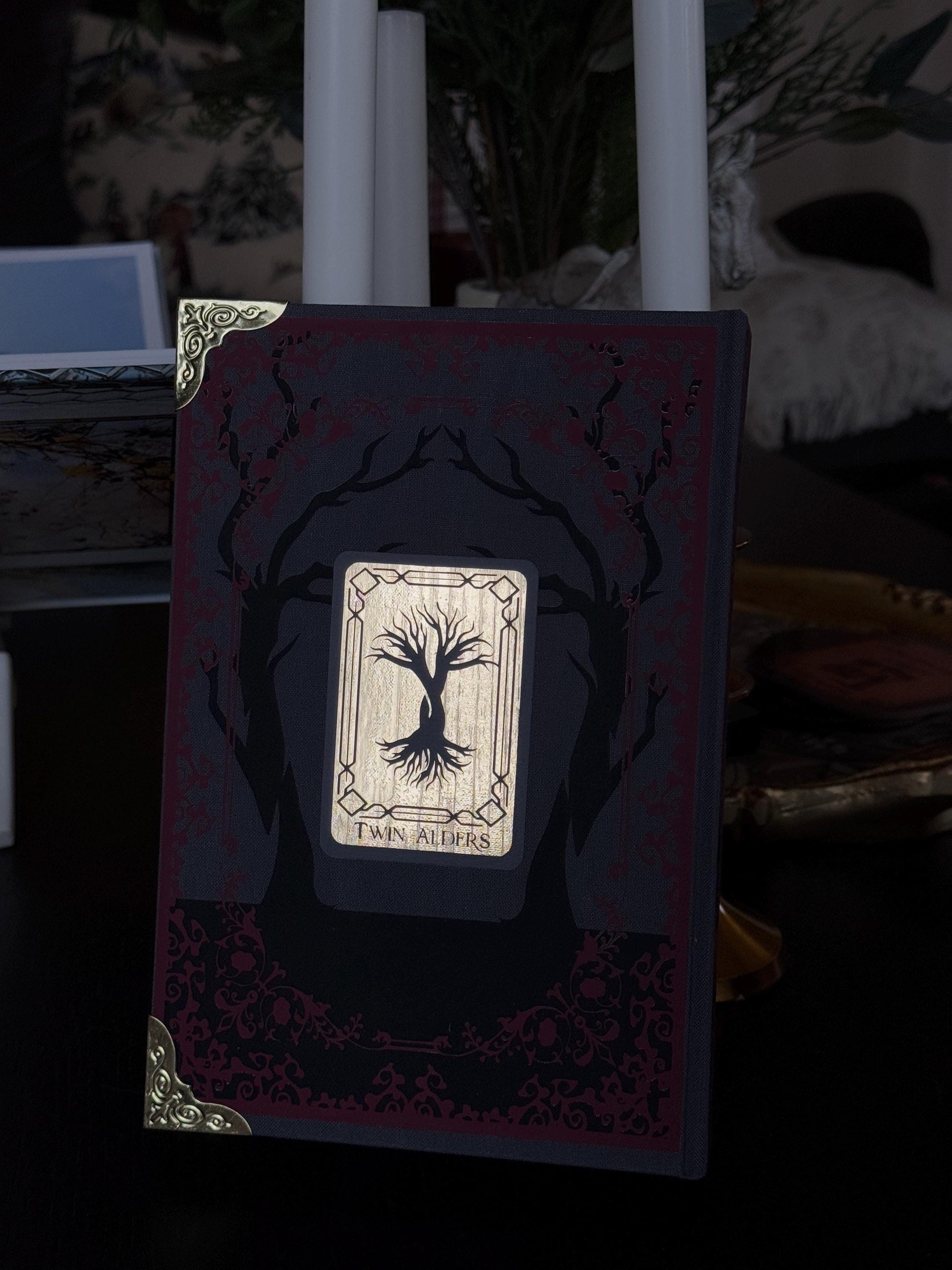 The Shepherd King Duology | One Dark Window & Two Twisted Crowns | Special Rebound Editions