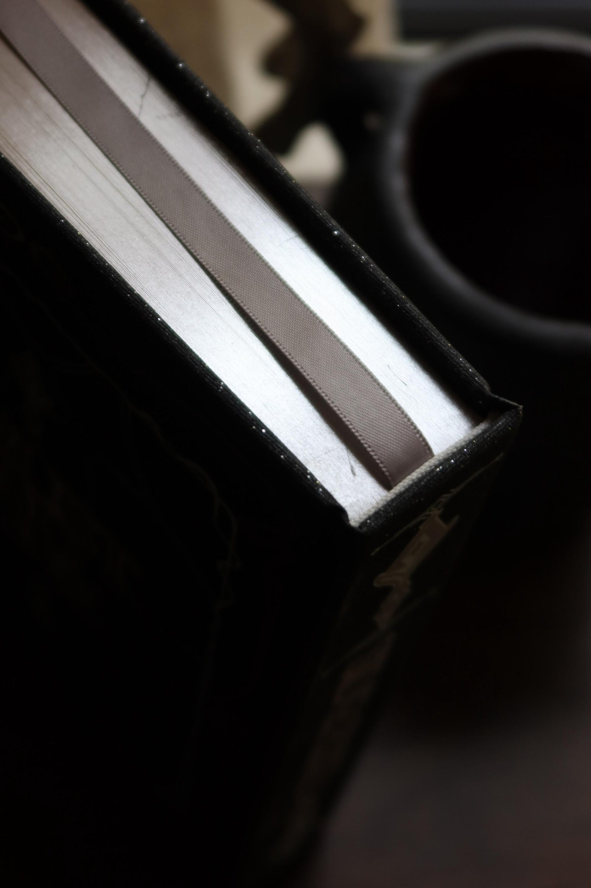Silver Elite by Dani Francis | Special Rebound Edition