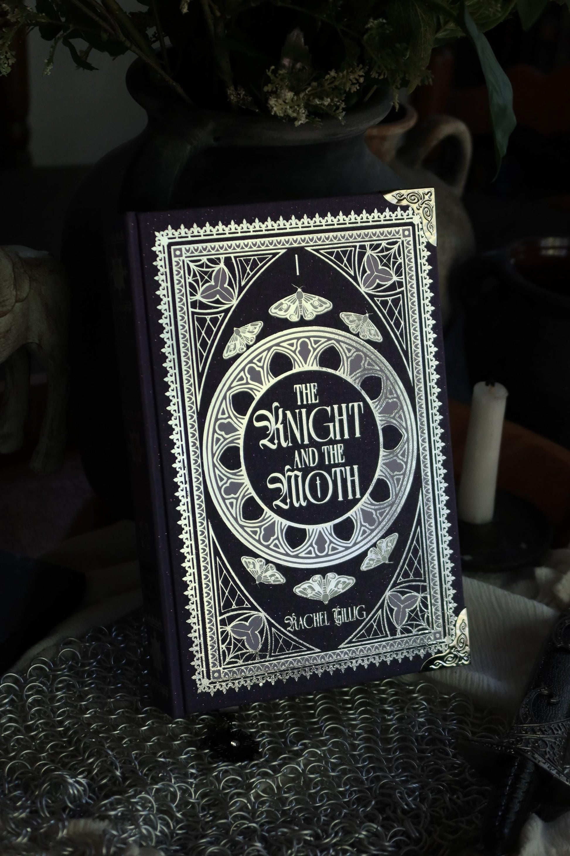 The Knight and the Moth by Rachel Gillig | Special Rebound Edition