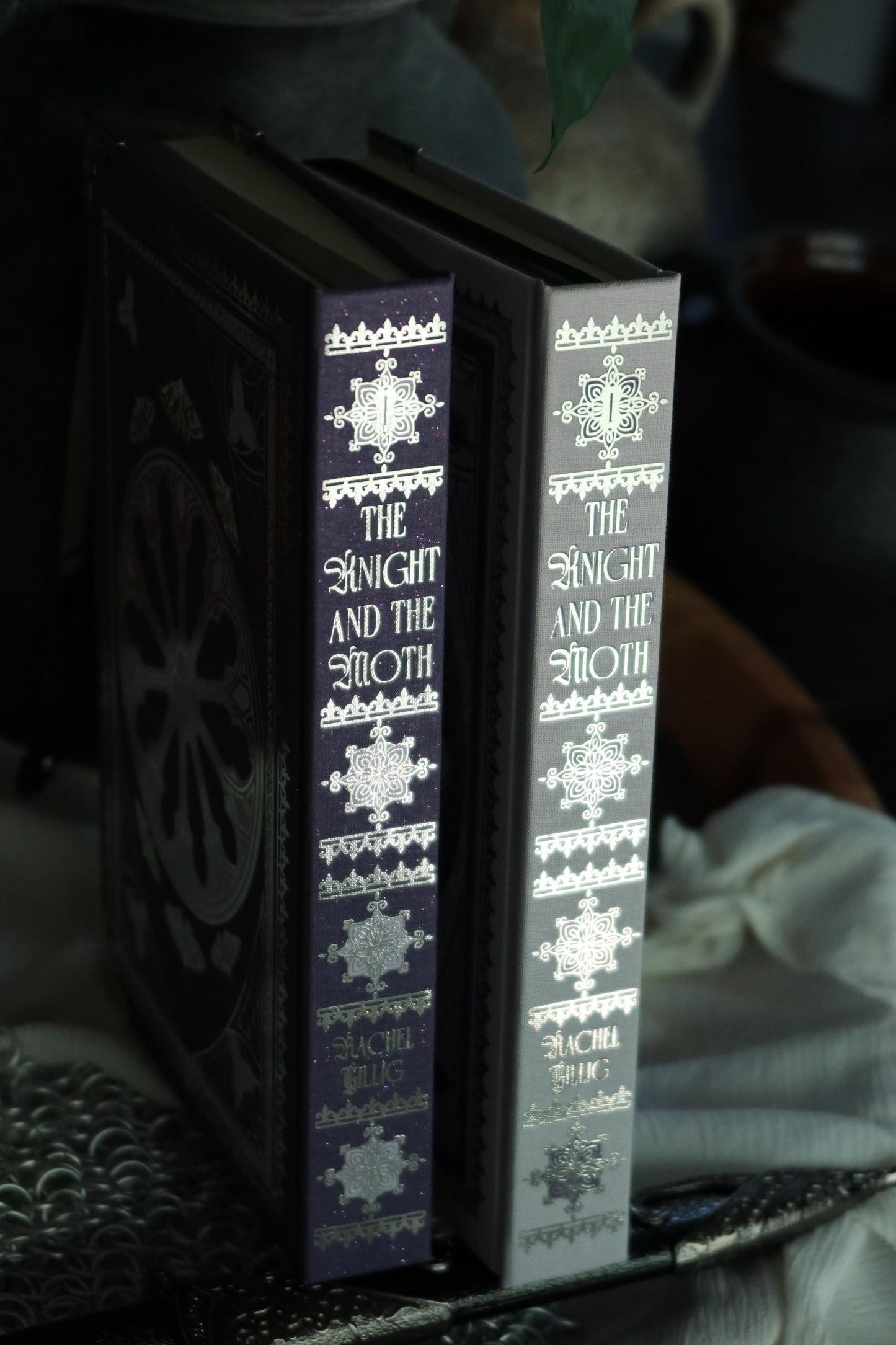 The Knight and the Moth by Rachel Gillig | Special Rebound Edition