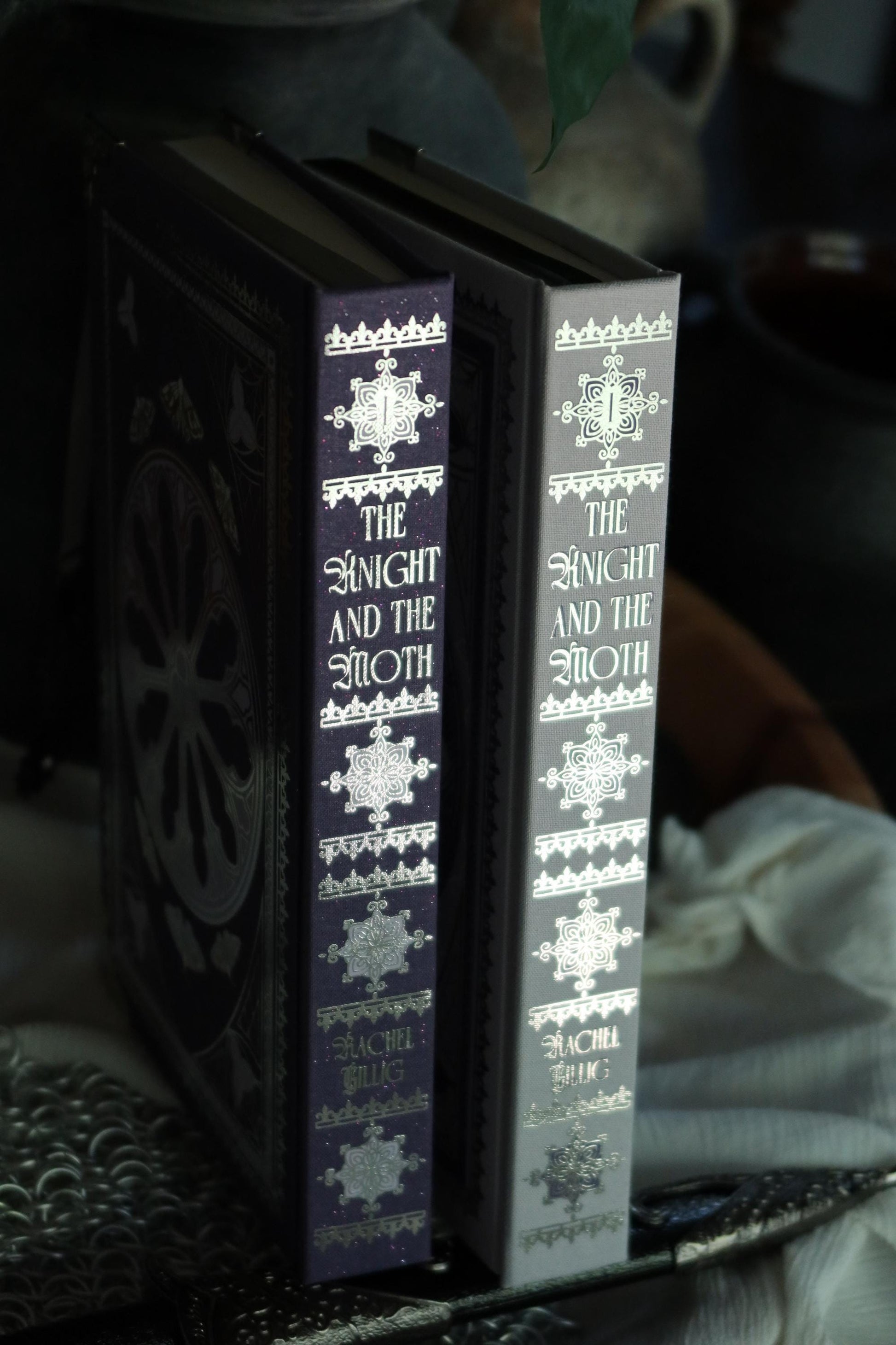 The Knight and the Moth by Rachel Gillig | Special Rebound Edition